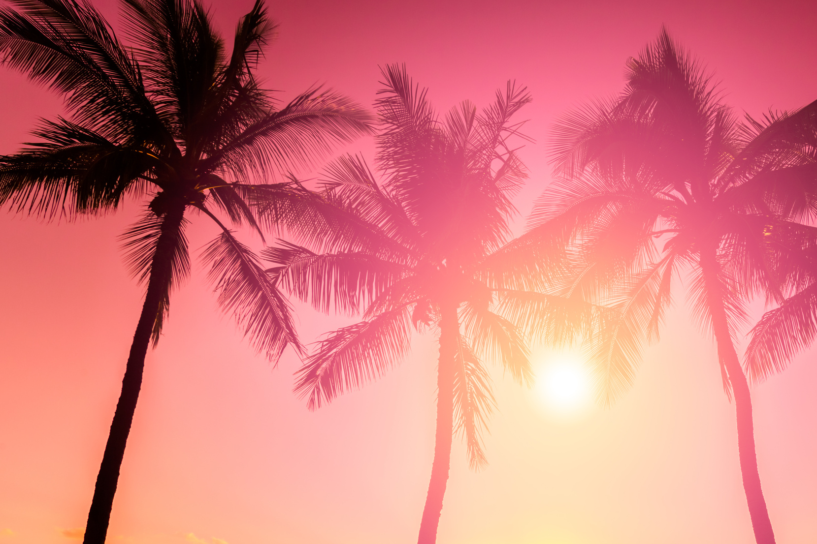 Tropical beach sunset