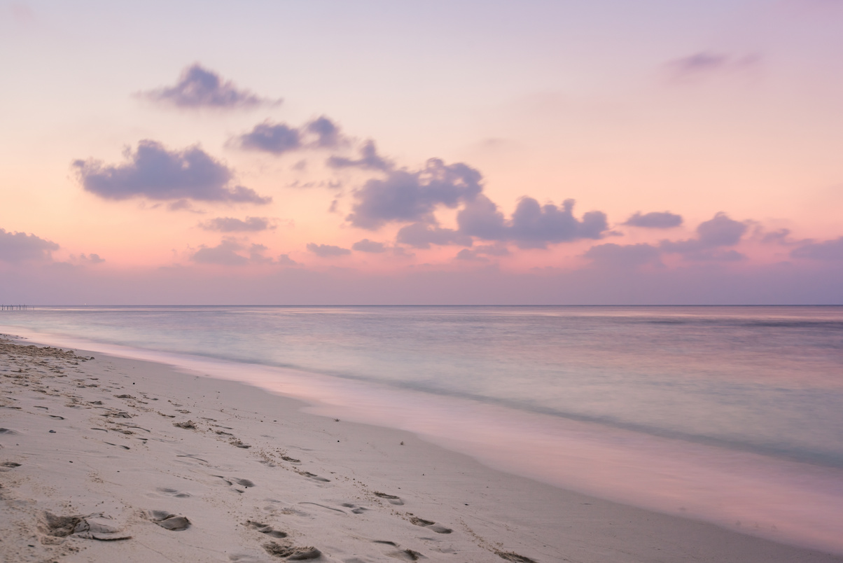 Beach sunset